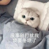 我觉得不行