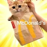 干嘛呢干嘛呢啊