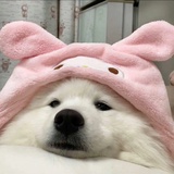 悲伤可乐盒子