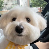 不想过夏天🧊