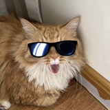 skylu
