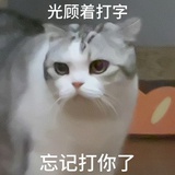 长宁桑