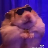 欧拉拉