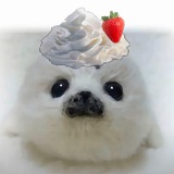 玻璃金平糖