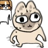 可以不回来