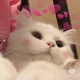 美乐蒂💞库洛米