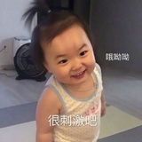 磕拉了
