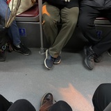 擒获君