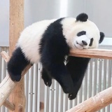 不炎热的夏天