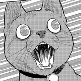 深井冰冰子