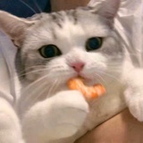 认真的胡萝卜