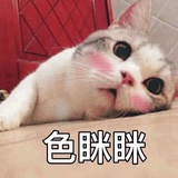 都叫我好好玩