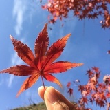 云端漫步