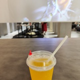 之篱