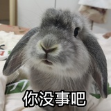 花田汐