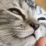 肯德基加点油