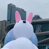 凤凰涅槃