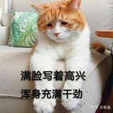 加冰奶茶不加糖