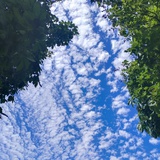秋芜
