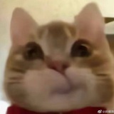 保护大脆皮Ⓜ