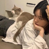 塔塔