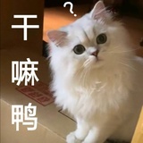 零柒柒啊