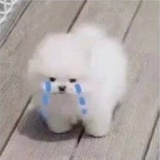 草长