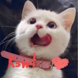 (๑❛ڡ❛๑)kswl