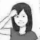 藕瓣柿李晃興