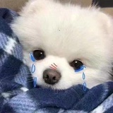 dududu