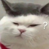 纯子酱拜托了