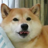 卡卡