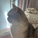 喂我lp三根薯条