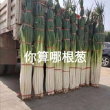 亲