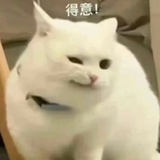 狗咪狗咪