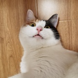千千
