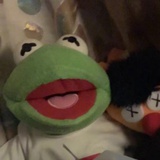 茂月