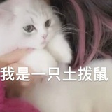 昭春与树