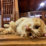 不想上学