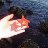 Oᴗoಣ