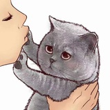 ；