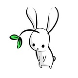 养生旺仔