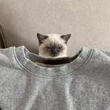 中空飞行中