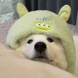 东村刀