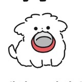bking渣男厨
