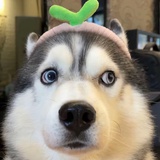 白桃可爱多