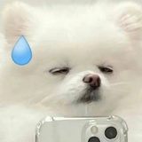 一支柠檬