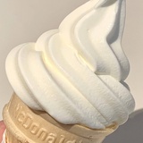 豆6