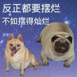这个字我不认识
