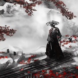 拂尘